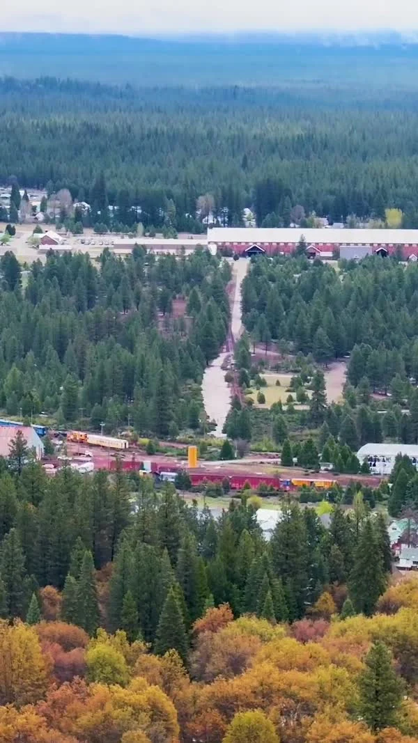 An aerial view looks across McCloud rooftops and tall conifers, with dense forest beyond.