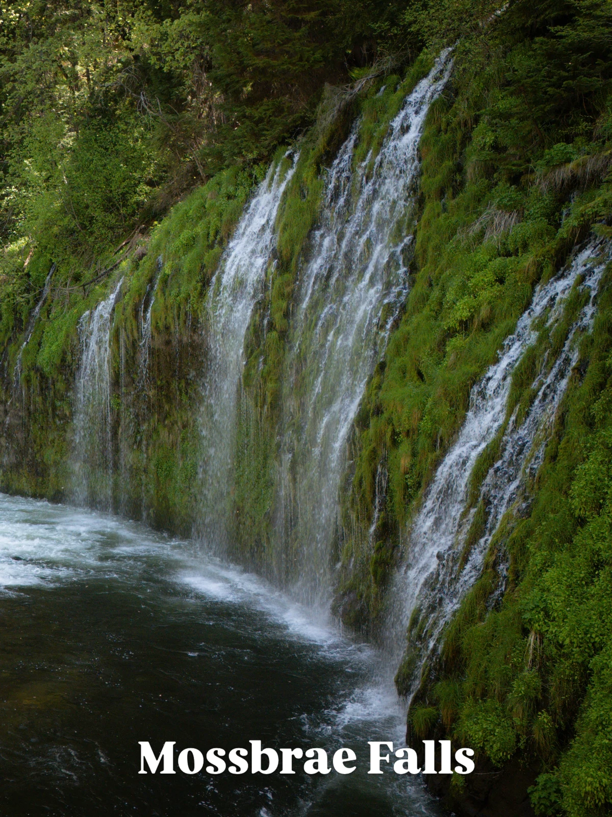 Water cascading down a mossy cliff at Mossbrae Falls