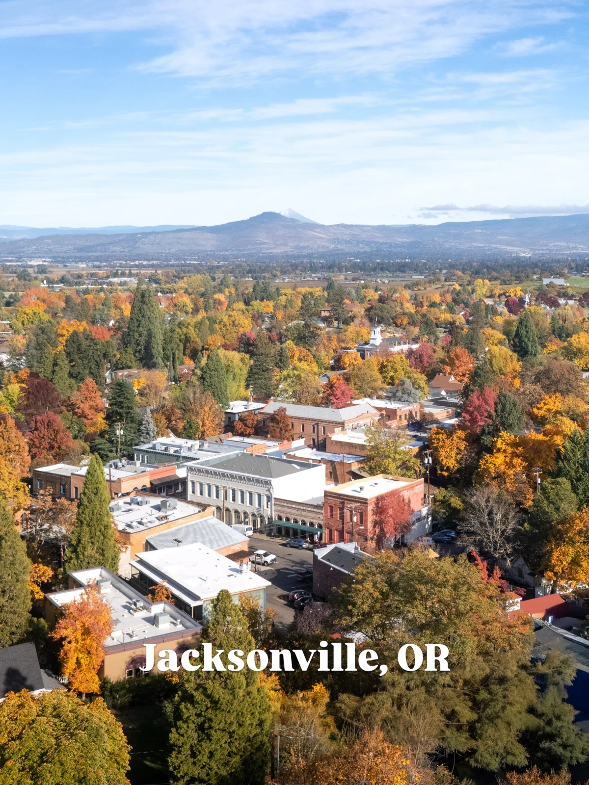 Jacksonville buildings and surrounding trees in autumn