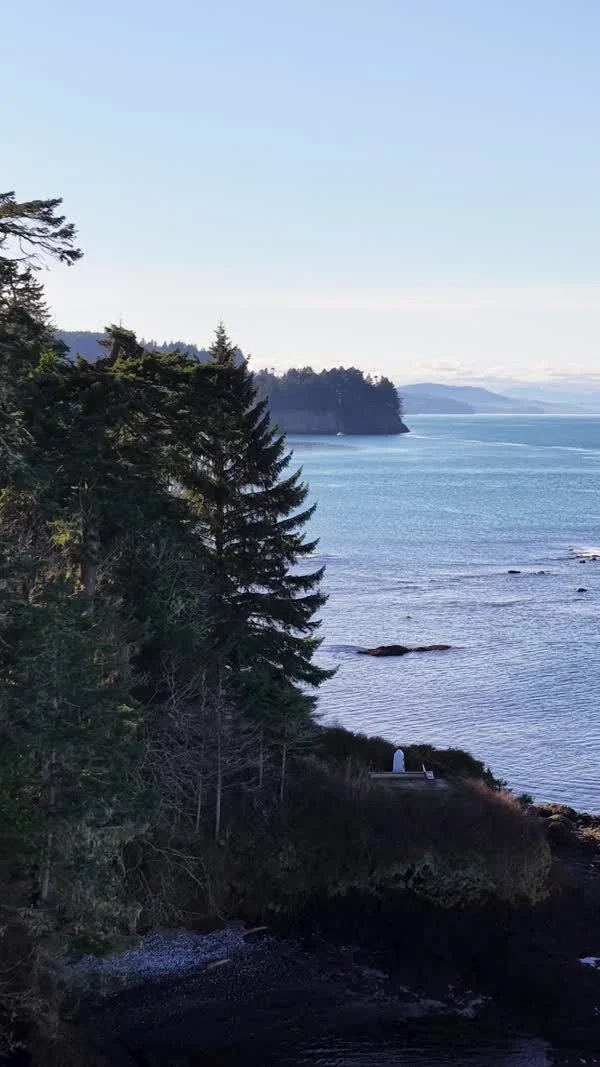 Evergreen trees stand above a rocky shoreline and blue water.